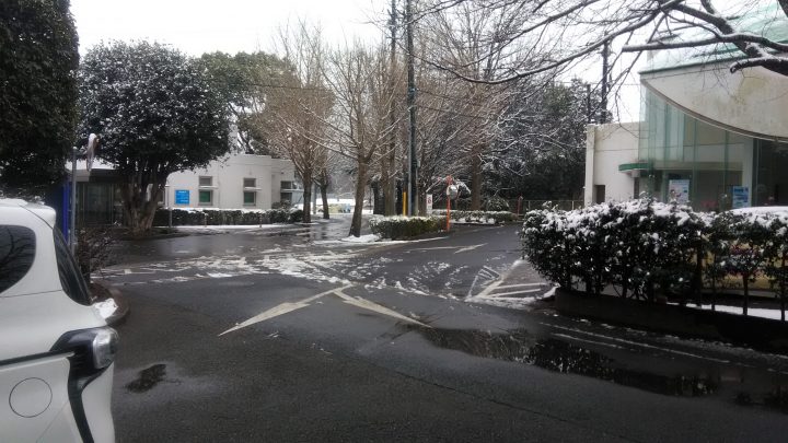 今日も雪が降りました！　⛄⛄