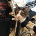 誉田訪問看護ステーション「クレーム対応？」