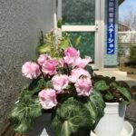 誉田訪問看護ステーション「出迎える彩り」