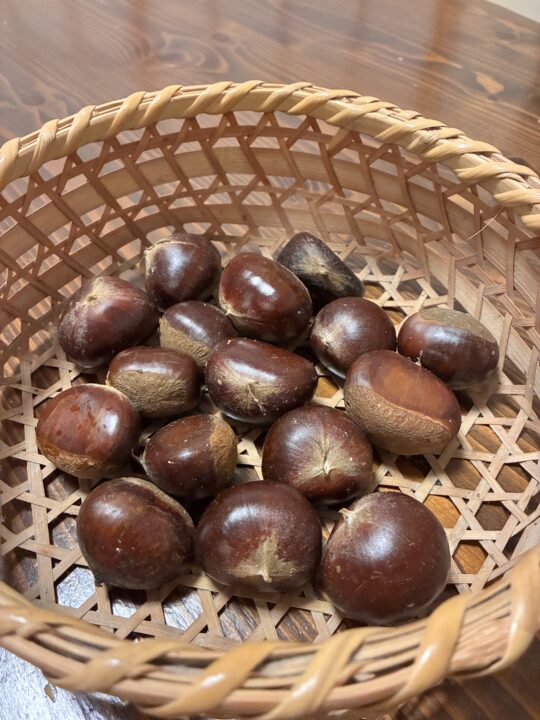 誉田訪問看護ステーション「秋を感じる贈り物」